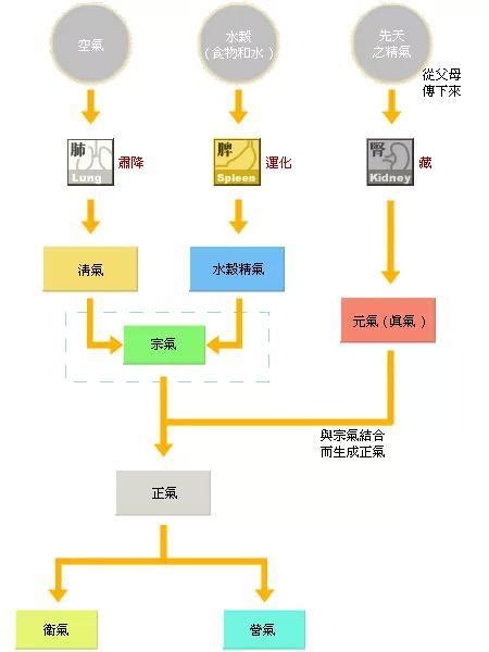 氣是什麼|中醫的氣